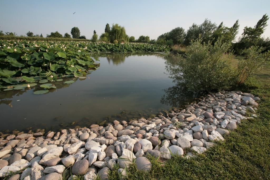 Villa Casa Country Bovolenta Zewnętrze zdjęcie